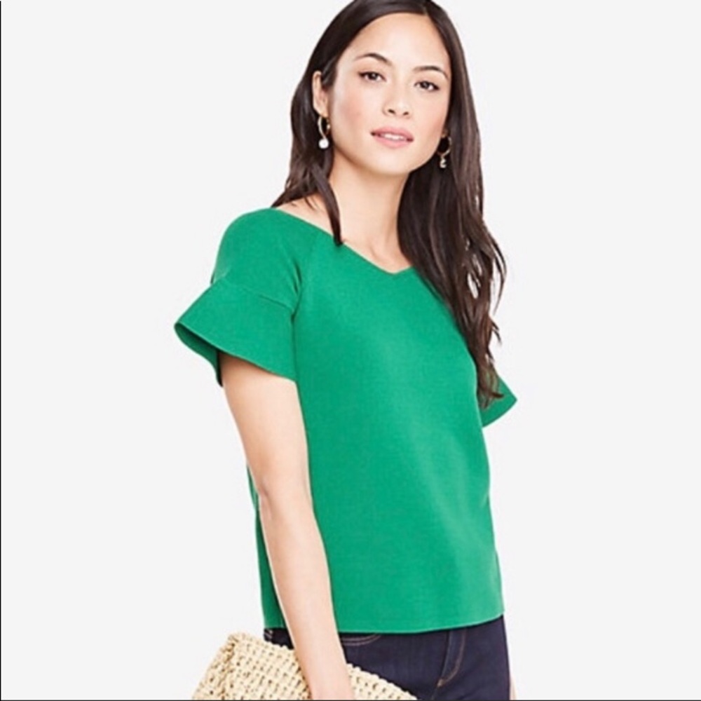 Ann Taylor green shirt leave sweater - great shape